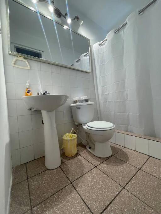 Beach Front Apartments Seven Seas 파하르도 외부 사진